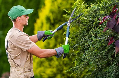 landscaping web design